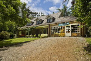 Curtis Falls Mountain Retreat - Dalby Accommodation 0