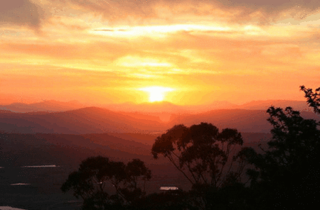 Avocado Sunset - Dalby Accommodation