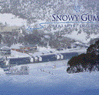 Snowy Gums Chalet - Dalby Accommodation