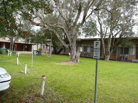 Rye Family Apartments - Dalby Accommodation 0