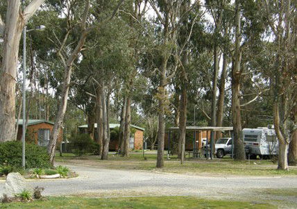 Shady Acres Caravan Park Ballarat - Dalby Accommodation 5