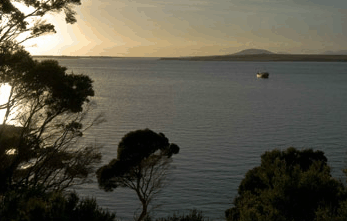 Echo Hills - Dalby Accommodation 4