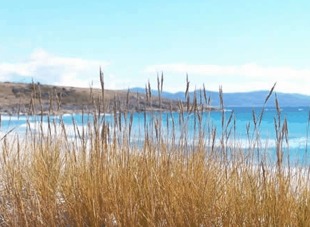 Four Mile Beach TAS Dalby Accommodation