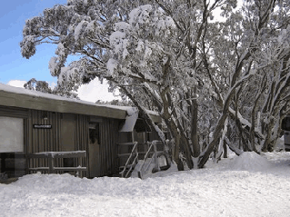 Gaffneys Creek VIC Dalby Accommodation