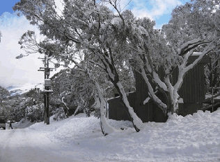 Mulligatawny Ski Club - Dalby Accommodation 1