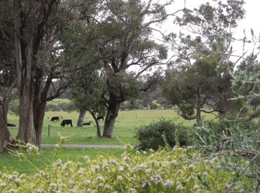 Woody Grange Chalets - Dalby Accommodation 3