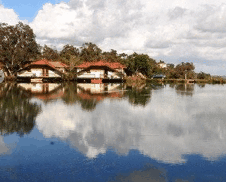 Lakeside Country Resort - Dalby Accommodation