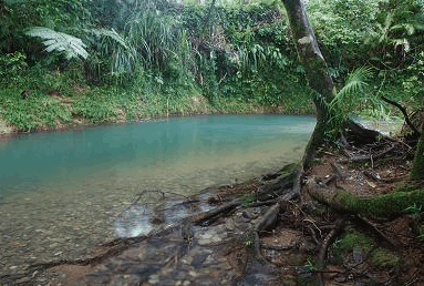 Diwan QLD Dalby Accommodation