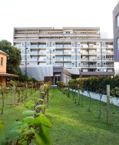 Honeysuckle Executive Apartments - Dalby Accommodation 0