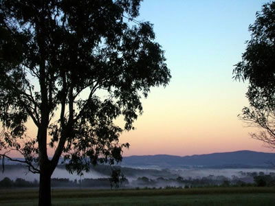 Bluebush Estate - Dalby Accommodation 0