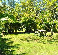 Wooli Caravan Park - Dalby Accommodation