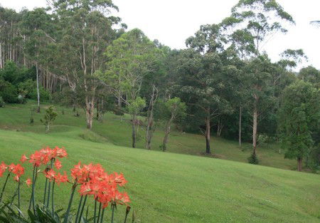 Woodridge Park Country Retreat - Dalby Accommodation 3