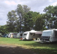 Waioma Caravan Park - Dalby Accommodation