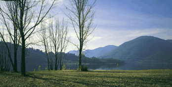 Ashton Townhouse Motel & Suites Tumut - Dalby Accommodation 3