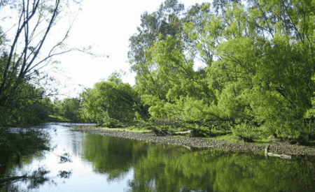 Ribbonwood Cottages - Dalby Accommodation