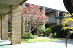 Amg Ryde Sydney - Dalby Accommodation