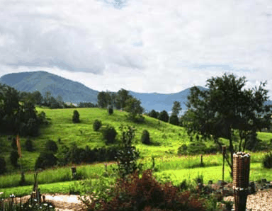 Nimbin Rox YHA - Dalby Accommodation 1