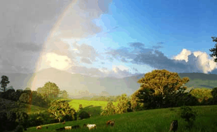 Nimbin Rox YHA - Dalby Accommodation 3