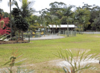 Minnie Water Holiday Park - Dalby Accommodation 5