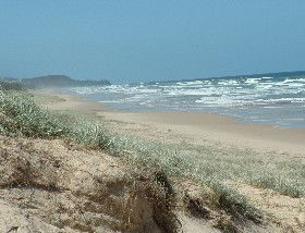 Beachcomber Peregian Beach - Dalby Accommodation 4