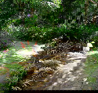 Coco's Country Cottage - Dalby Accommodation