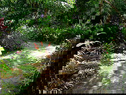 Coco's Country Cottage - Dalby Accommodation 0