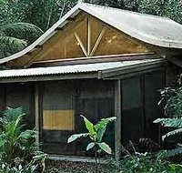 Byron Bay Rainforest Resort - Dalby Accommodation