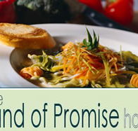 Land of Promise Hotel - Dalby Accommodation