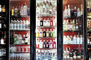 Mink - Dalby Accommodation 0