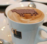 Brown Cow - Dalby Accommodation