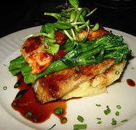 Bedford Hotel - Dalby Accommodation