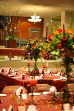 Forest Inn Hotel - Dalby Accommodation 0