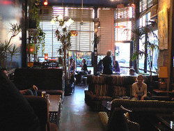 Blackcat - Dalby Accommodation 1