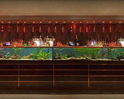 AB Hotel - Dalby Accommodation 2