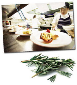 Clovelly Hotel - Dalby Accommodation 2