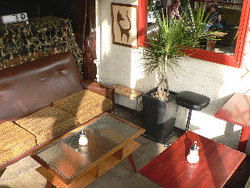 Blackcat - Dalby Accommodation 2