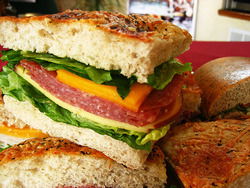 Mink - Dalby Accommodation 3