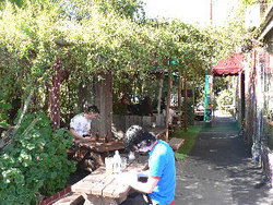 Blackcat - Dalby Accommodation 3