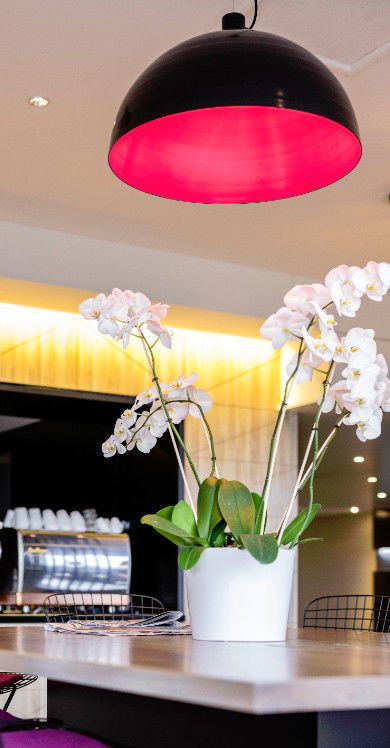 MRepublic Restaurant, Bar And Lounge - Dalby Accommodation 4