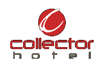 The Collector Hotel - Dalby Accommodation