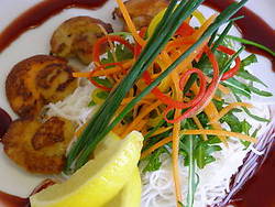Watsons Bay Hotel - Dalby Accommodation 1