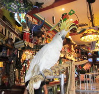 A Friend In Hand - Dalby Accommodation