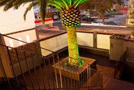 Villa Nightclub - Dalby Accommodation 3