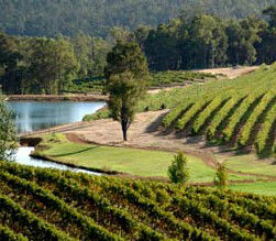 Queenwood WA Dalby Accommodation