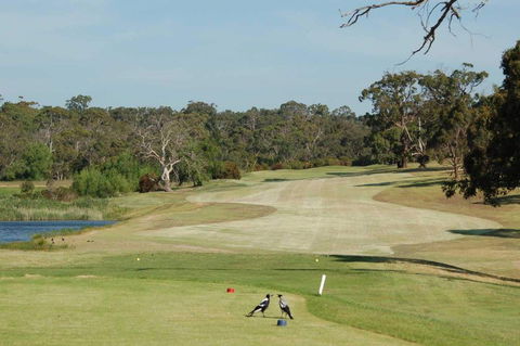 Devilbend Golf Club - Dalby Accommodation 1