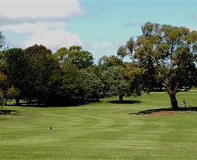 Cooma Golf Club - Dalby Accommodation 1