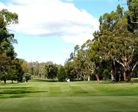 Cooma Golf Club - Dalby Accommodation 0