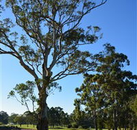 Ryde-Parramatta Golf Club - Dalby Accommodation