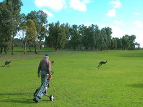 Duck Ponds SA Dalby Accommodation