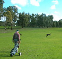 Coffin Bay Golf Club - Dalby Accommodation